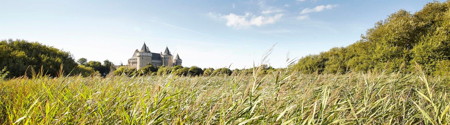 Château de Suscinio vu depuis les roselières, sur la presqu’île de Rhuys