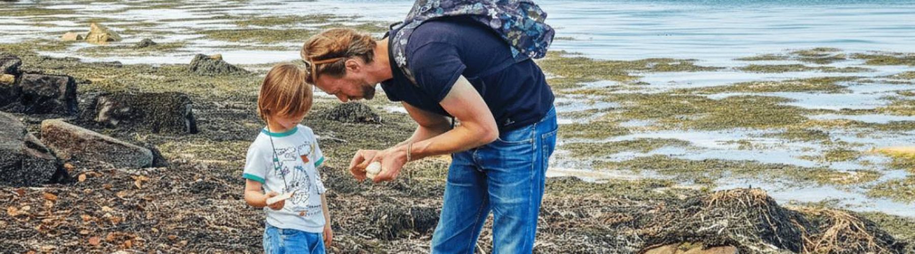 Découvertes du bord de mer en famille golfe du morbihan